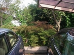 ? ` IMGP8660.jpg