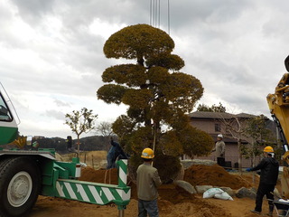 DSCN1744.JPG